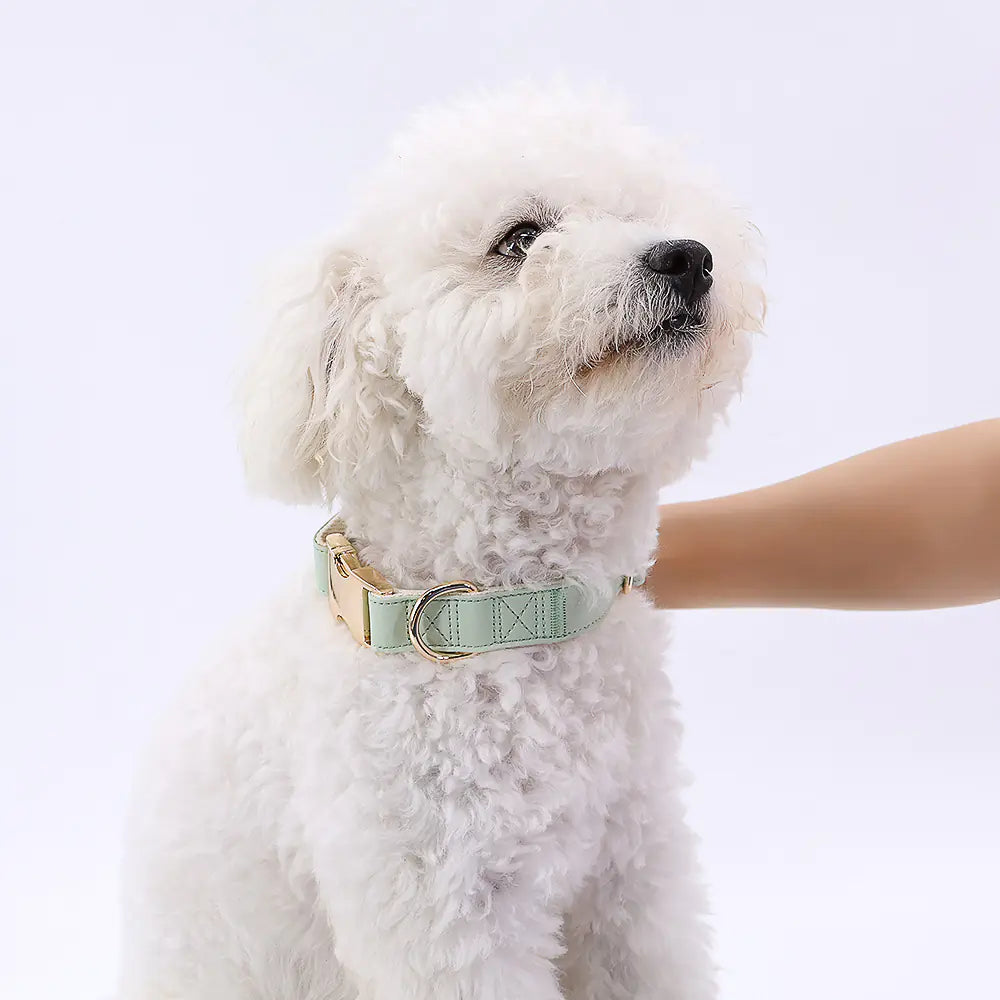 High-Quality All-Match Metal Buckle Pet Collar