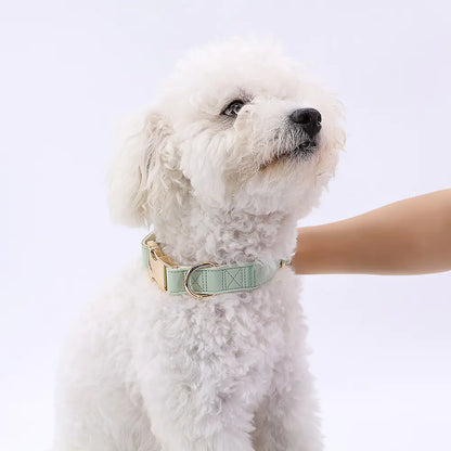 High-Quality All-Match Metal Buckle Pet Collar