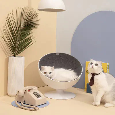 Cat Bed Hammock with Rotating Design