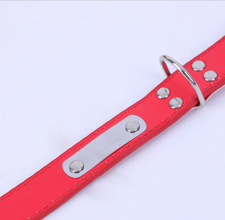 Dog Collar PU