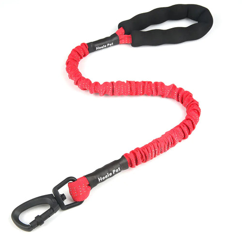 Elastic Dog Traction Rope