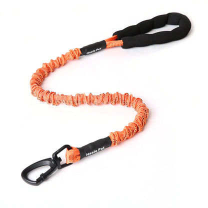 Elastic Dog Traction Rope