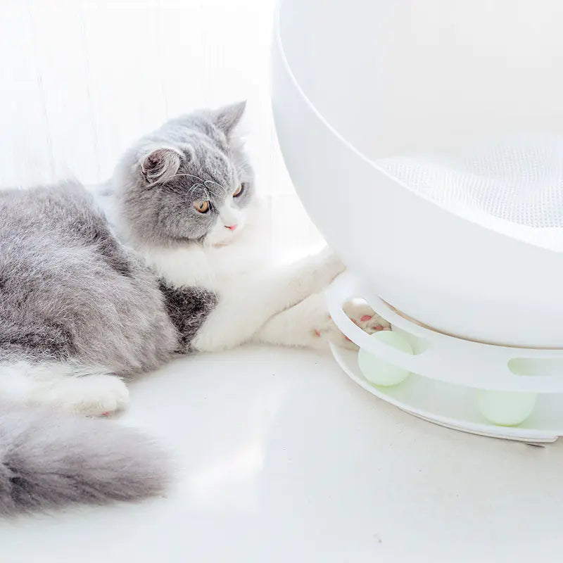 Multifunctional Semi-Enclosed Cat House