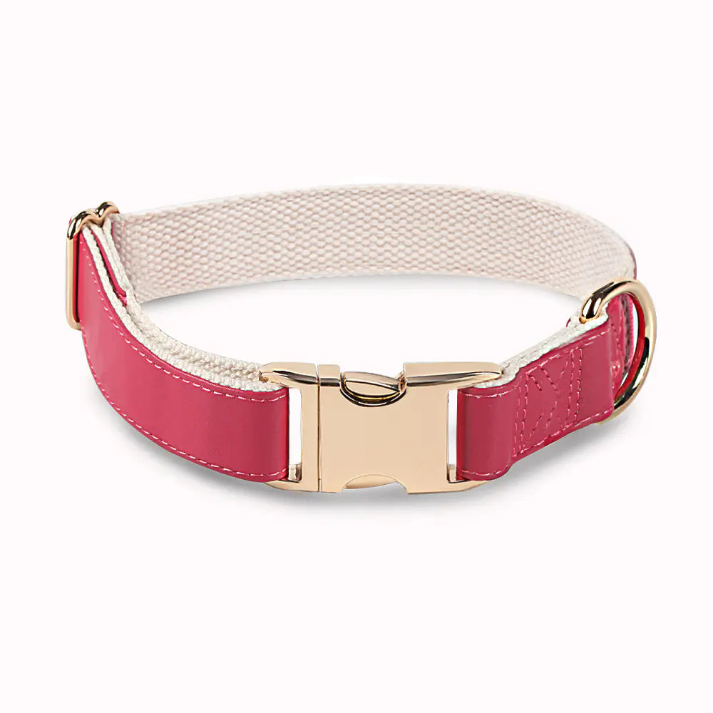 High-Quality All-Match Metal Buckle Pet Collar