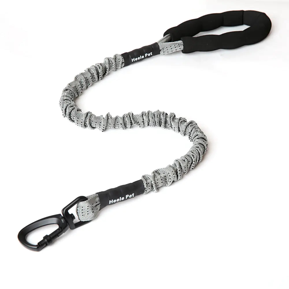 Elastic Dog Traction Rope