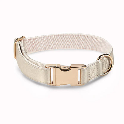 High-Quality All-Match Metal Buckle Pet Collar
