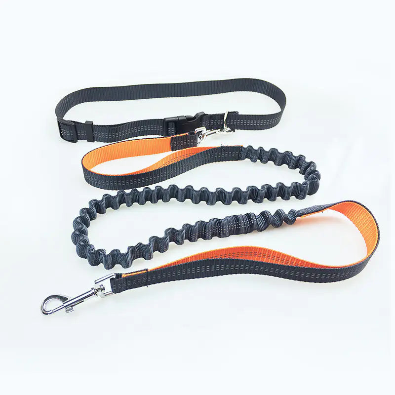 Dog Running Leash