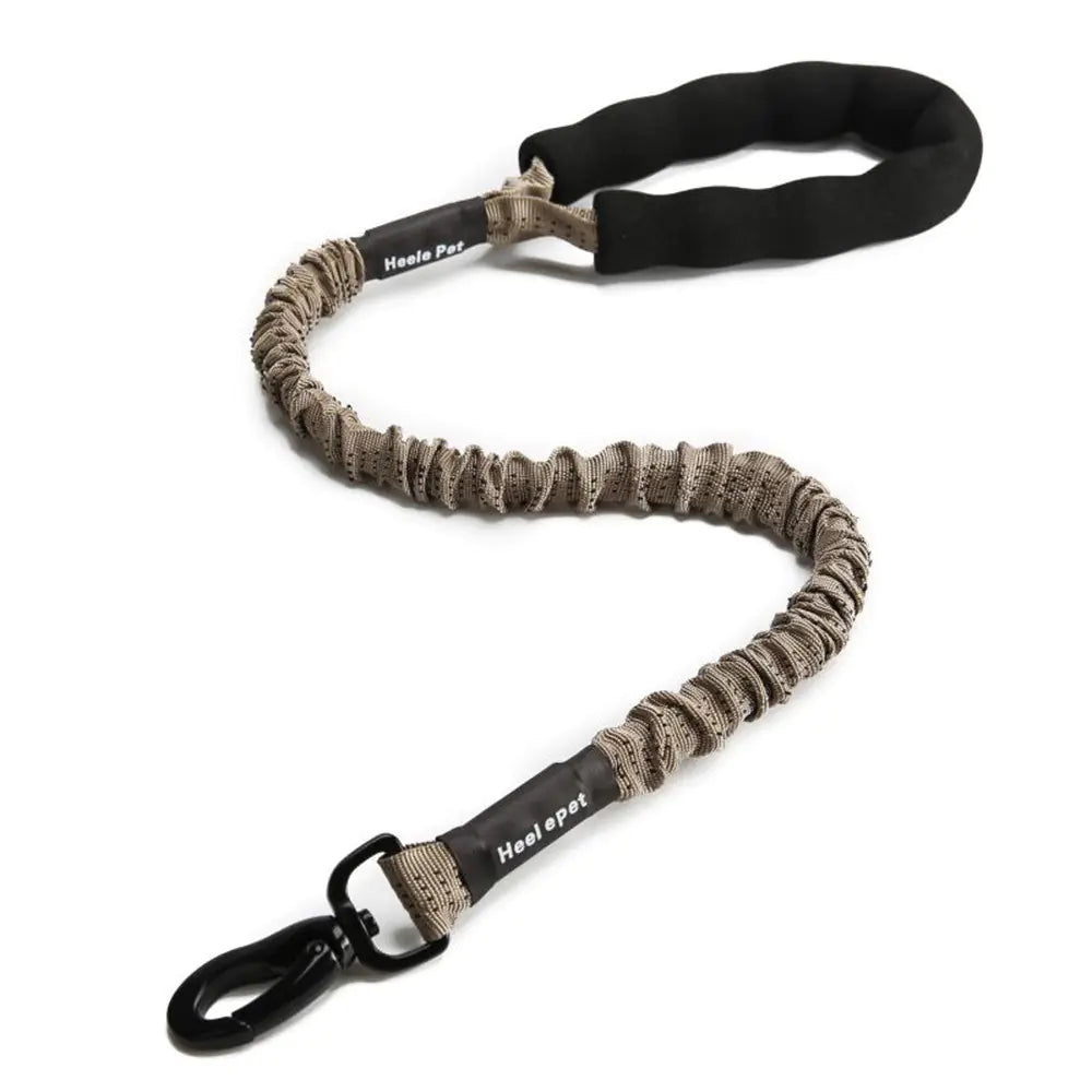 Elastic Dog Traction Rope