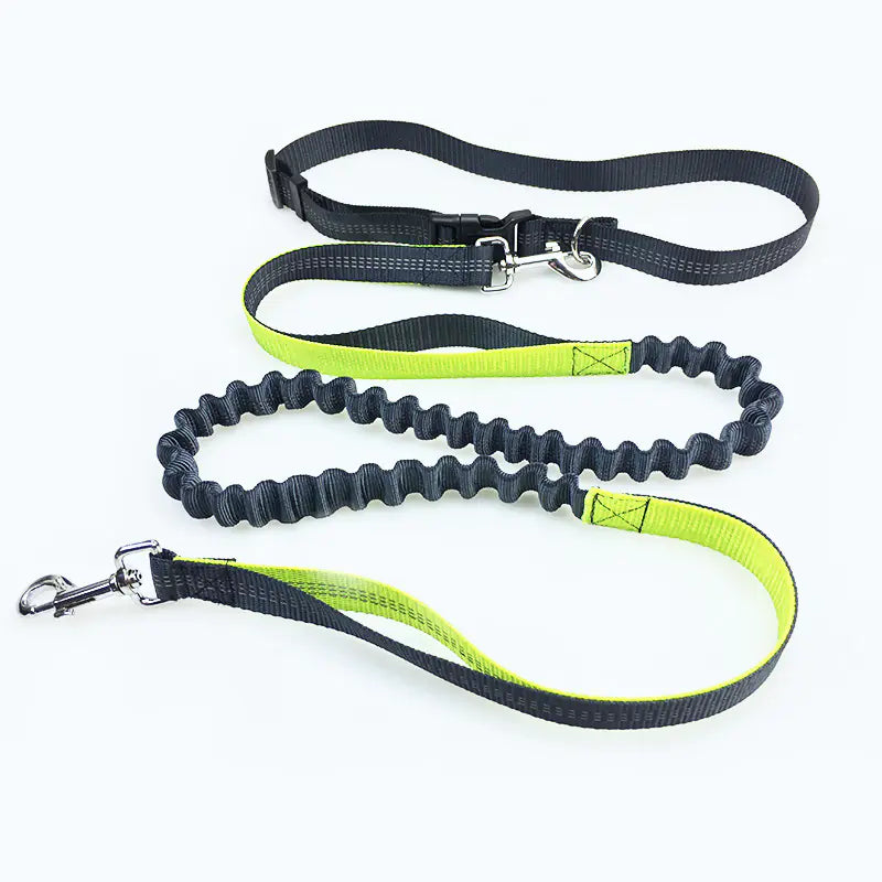 Dog Running Leash