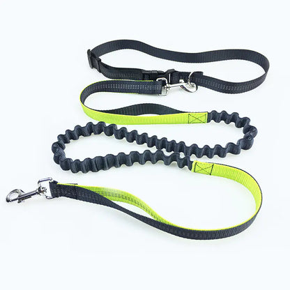 Dog Running Leash