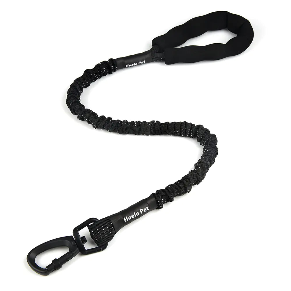 Elastic Dog Traction Rope