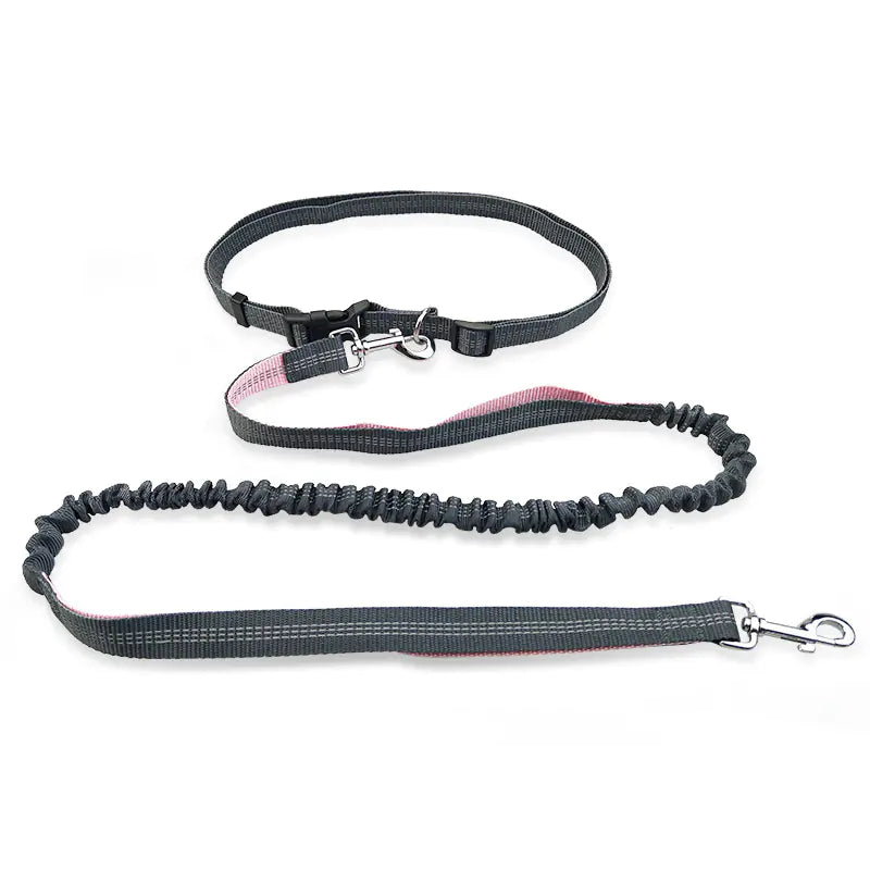 Dog Running Leash