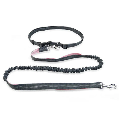 Dog Running Leash